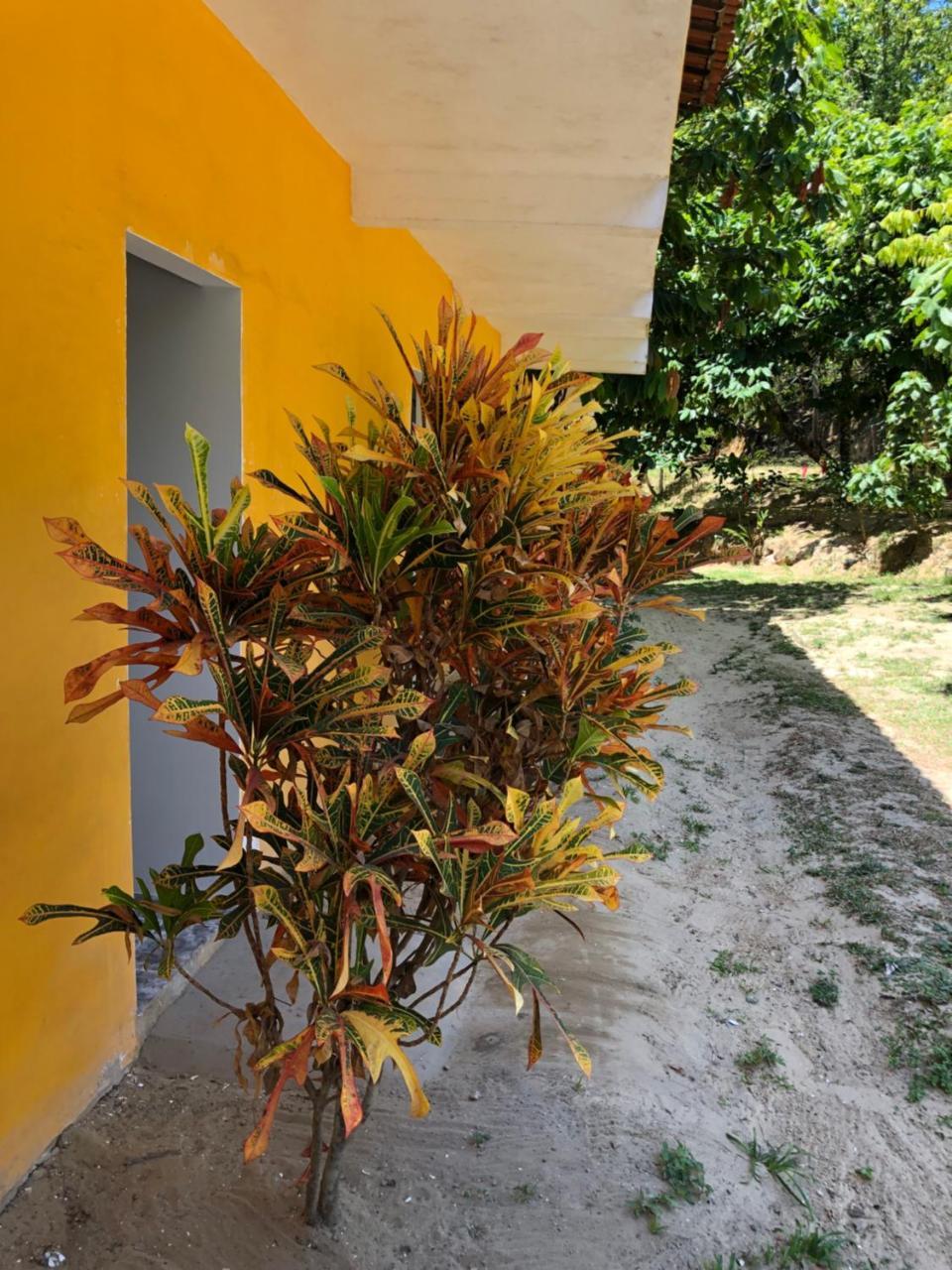 Pousada E Camping America Morro de São Paulo Exterior foto